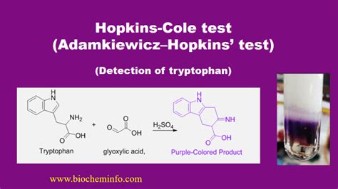 Hopkins Cole Test: Principle, Reaction, Reagents And Result .